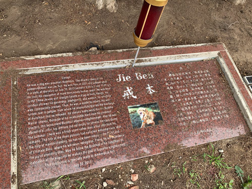 [Photograph of a cut red granite stone with
white lettering commemorating a dog named "Jie Ben," depicted in a photograph at
the center; on the right side, a text in Chinese characters; on the left side, a
text in English, reproduced below.]
