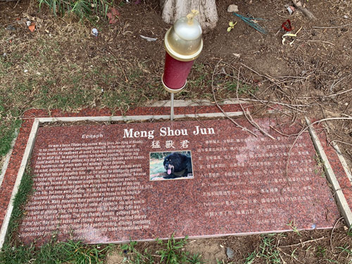 [Photograph of a cut red granite stone with
white lettering commemorating a dog named "Meng Shou Jun," depicted in a
photograph at the center; on the right side, a text in Chinese characters; on
the left side, a text in English, reproduced below.]