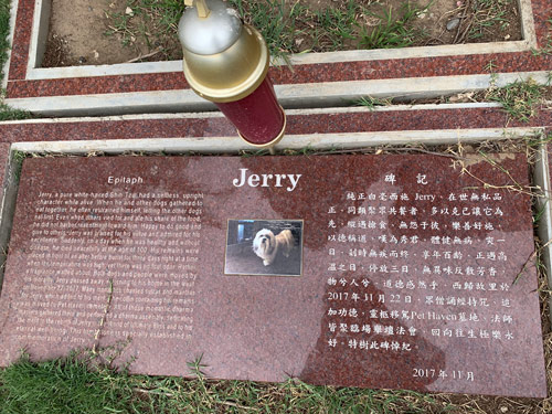 [Photograph of a cut red granite stone with
white lettering commemorating a dog named "Jerry," depicted in a photograph at
the center; on the right side, a text in Chinese characters; on the left side, a
text in English, reproduced below.]