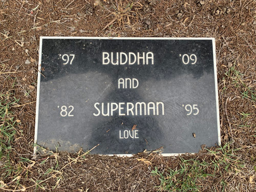 [Photograph of a cut black stone with white lettering
memorializing pets named "Buddha," 1997-2009, and "Superman," 1982-1995.]