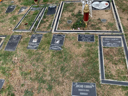 [Photograph of a patchy lawn with small
rectangular stones cut with inscriptions like "Jocko Comin, beloved dog,"
December 1963-January 1980; "our beloved Princess, our precious kitten, love you
& miss you forever," Febuary 1966-January 1980; "Our beloved Fifi, our precious
baby girl, love you & miss you forever," February 14, 1967-September 4, 1981;
"Miss Muffett, our beloved pet," 1966-1980; "Lady Gilbert, always sweet, gentle
and loving," September 18, 1968-January 14, 1980; "Maximilian, my buddy,"
1992-2007, "Chow Chow, we loved you always, love you forever," August 25,
1965-June 24, 1979]