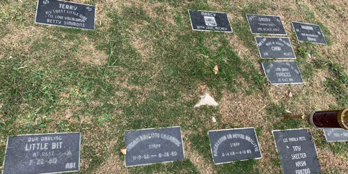 [Photograph of a patchy lawn with small
rectangular stones cut with inscriptions like "Terry, my sweet little girl,"
1965-1980; "Susana," 1967-1979; "Sandy, puppy dog," January 8, 1964-January 1,
1980; "Luigi Clyde, my boy, my honey man," May 31, 1967-July 2 1979; "Lee family
pets: Tiny, Skeeter, Kashi, Friendo, Pepsi, Cookie"; "Marcy, with love, Mickey";
"Good Friend Frances," July 1, 1981-September 26, 1994"; "Rest in Peace Chibi,"
May 8, 1974-January 30, 1986; "Madam Brigitte La Grande Stapp," November 9,
1962-June 28, 1980; "Angelenna La Petite Brigitte Stapp," June 14, 1968-April
16, 1983]