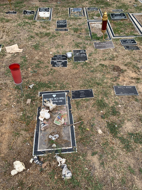 [Photograph of rectangular black stones with
white lettering set into the ground to memorialize dead pets. Broken figurines
in the shape of angels and dogs are strewn atop the grave of a dog named "Ruby
Roo Rich Apple."]