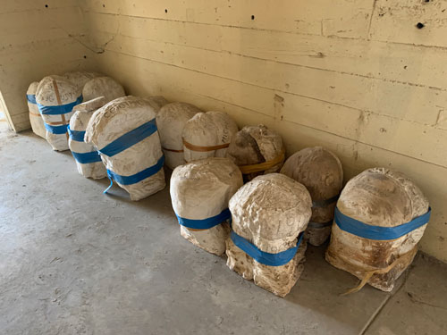 [Concrete wall lined with plaster
molds wrapped shut with blue tape, presumably in the form of those sculptures
pictured above.]
