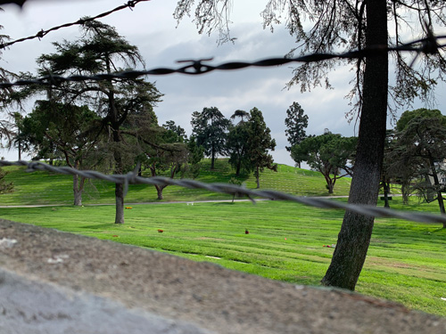 [View over wall through barbed
wire of rolling green hills filled with graves, dotted with tall trees.]