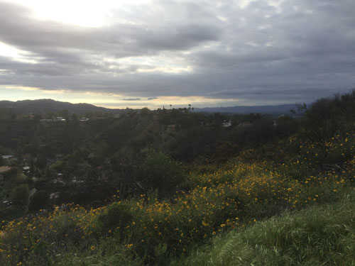[Misc. photograph 13]