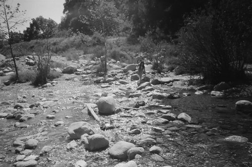 [Misc. photo 2-15]