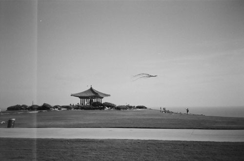[Misc. photo 2-50]