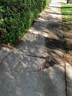 [Photo No. 12]
